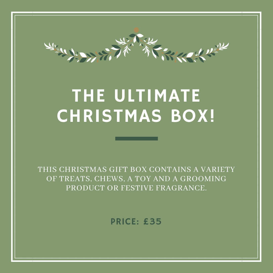 2024 Christmas Gift Box